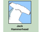 Jack Hammerhead!